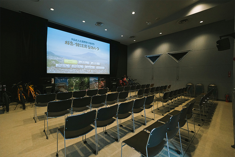 Theater Room