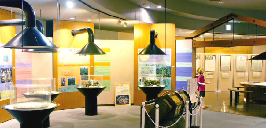 Inside the Sakurajima Visitor Center