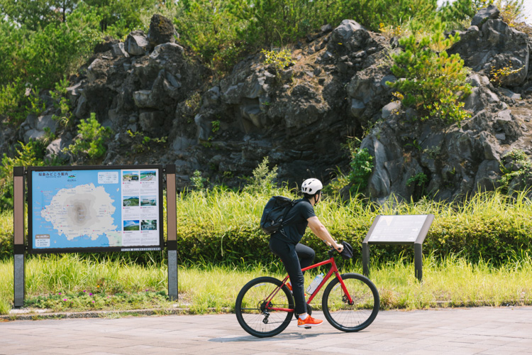 Rental Bike