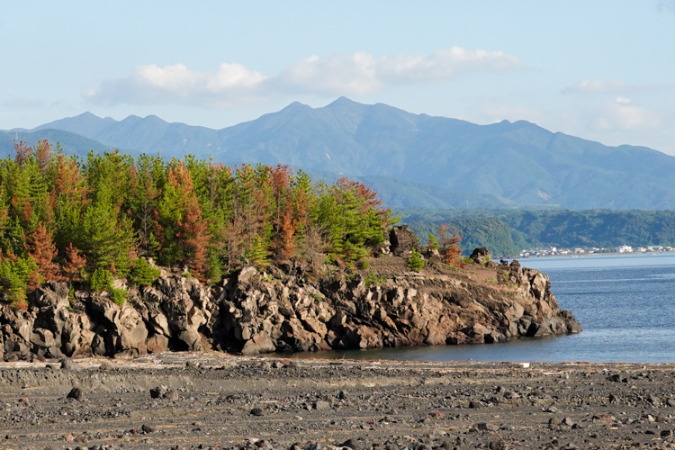 桜島天然温泉掘りの様子4