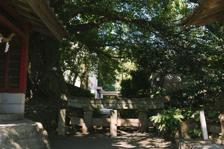 The shrine pavilion behind the torii gate